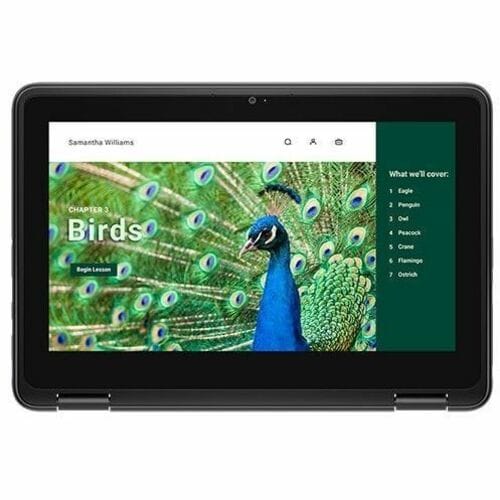 CHRMBK 3120 4 GB (1 DIMM) 64 GB EMMC NT 1366 x 768 WLS 3C 42 Wh