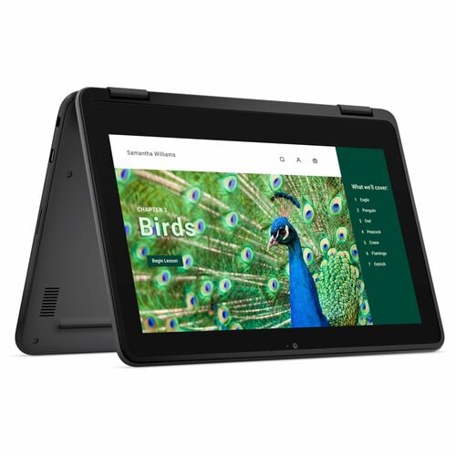 CHRMBK 3120 4 GB (1 DIMM) 64 GB EMMC NT 1366 x 768 WLS 3C 42 Wh