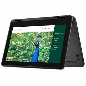 CHRMBK 3120 2IN1 4GB (1DIMM) 64GB EMMC T 1366X768 WLS 3C 42WH