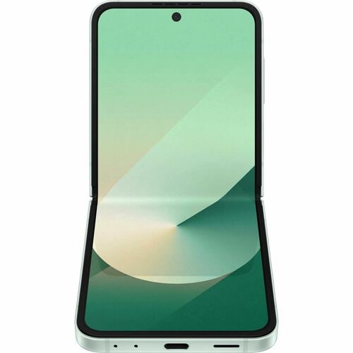 Samsung Galaxy Z Flip6 256 GB Smartphone
