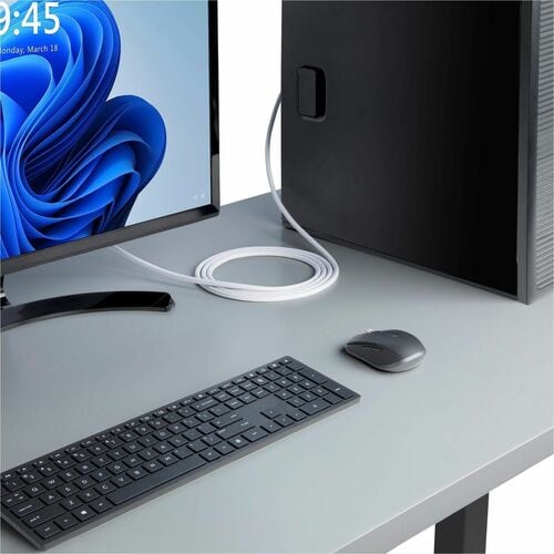 Câble DisplayPort StarTech.com de 3 m