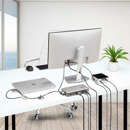 Kit de bloqueo para portátiles/computadoras de escritorio y periféricos StarTech.com, cable de acero de 3 m (9,8 pies), antirrobo