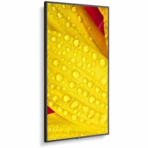 Sharp NEC Display 65\" Ultra High Definition Professional Display - 65\" (1651 mm) LCD