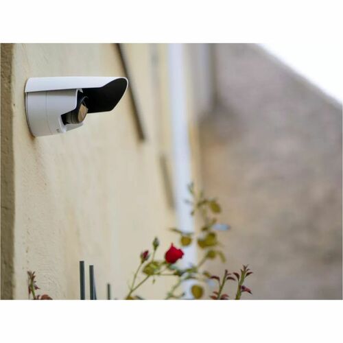 AXIS M3125-LVE 2 Megapixel Indoor/Outdoor Full HD Network Camera - Color - Dome