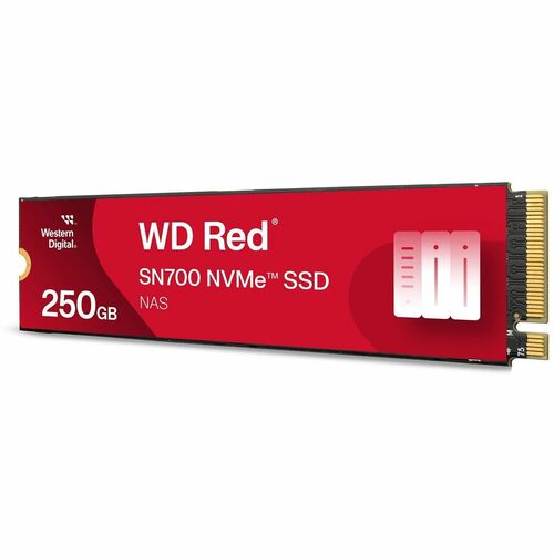 SATA M.2 MULTI 10 ROJO DE 250 GB