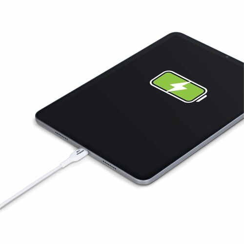 StarTech.com Cable USB-A a USB de 10 pies (3 m)