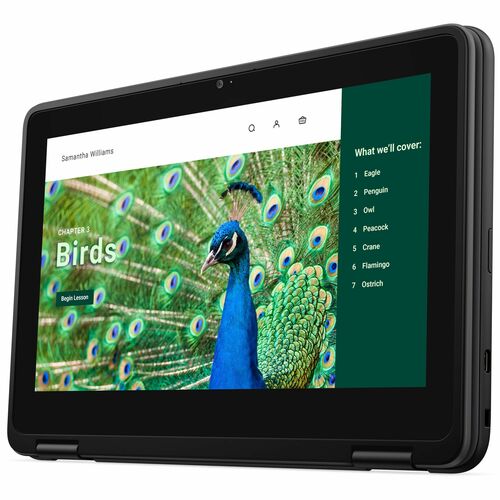Chromebook 3120 2 en 1 N100 4 GB 64 GB 11,6 pulgadas HD+T 1366 x 768 3 núcleos 65 W