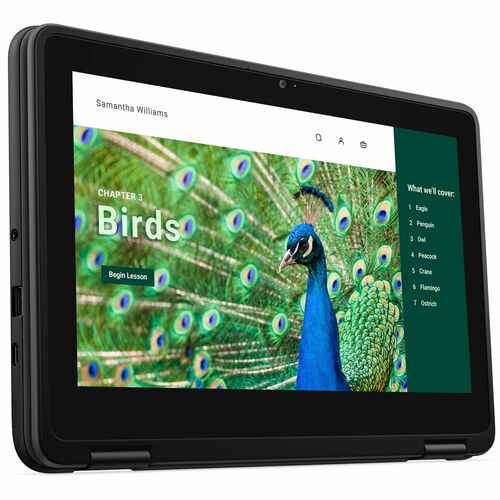 Chromebook 3120 2 en 1 N100 4 GB 64 GB 11,6 pulgadas HD+T 1366 x 768 3 núcleos 65 W