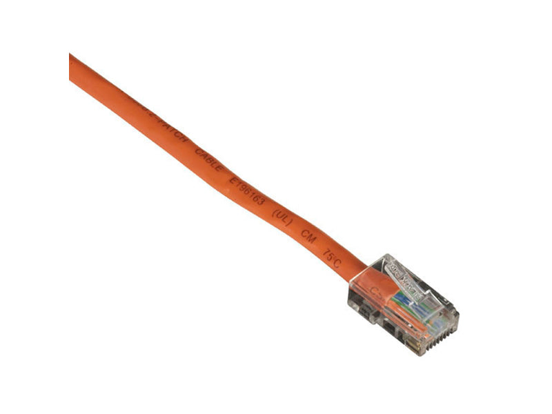 Câble Ethernet Cat5E 100 MHz Black Box Corp. Cat5Epc-B-010-Or