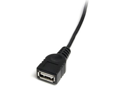 Câble mini USB 2.0 StarTech.com (30 cm) - USB A vers mini BF/M - USB C