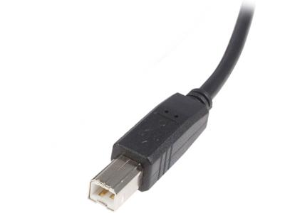 Câble USB 2.0 A vers B Startech.Com de 30 cm (1 pi) - M/M - Câble USB - USB vers