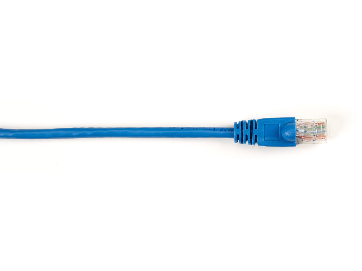 Patch de protection moulé Cat6 Black Box Corp, bleu, 60 cm