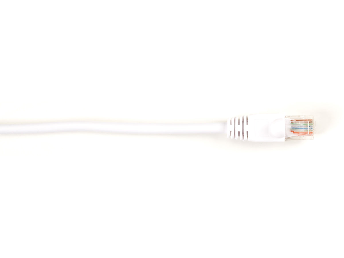 Patch de protection moulé Cat6 Black Box Corp, blanc, 60 cm