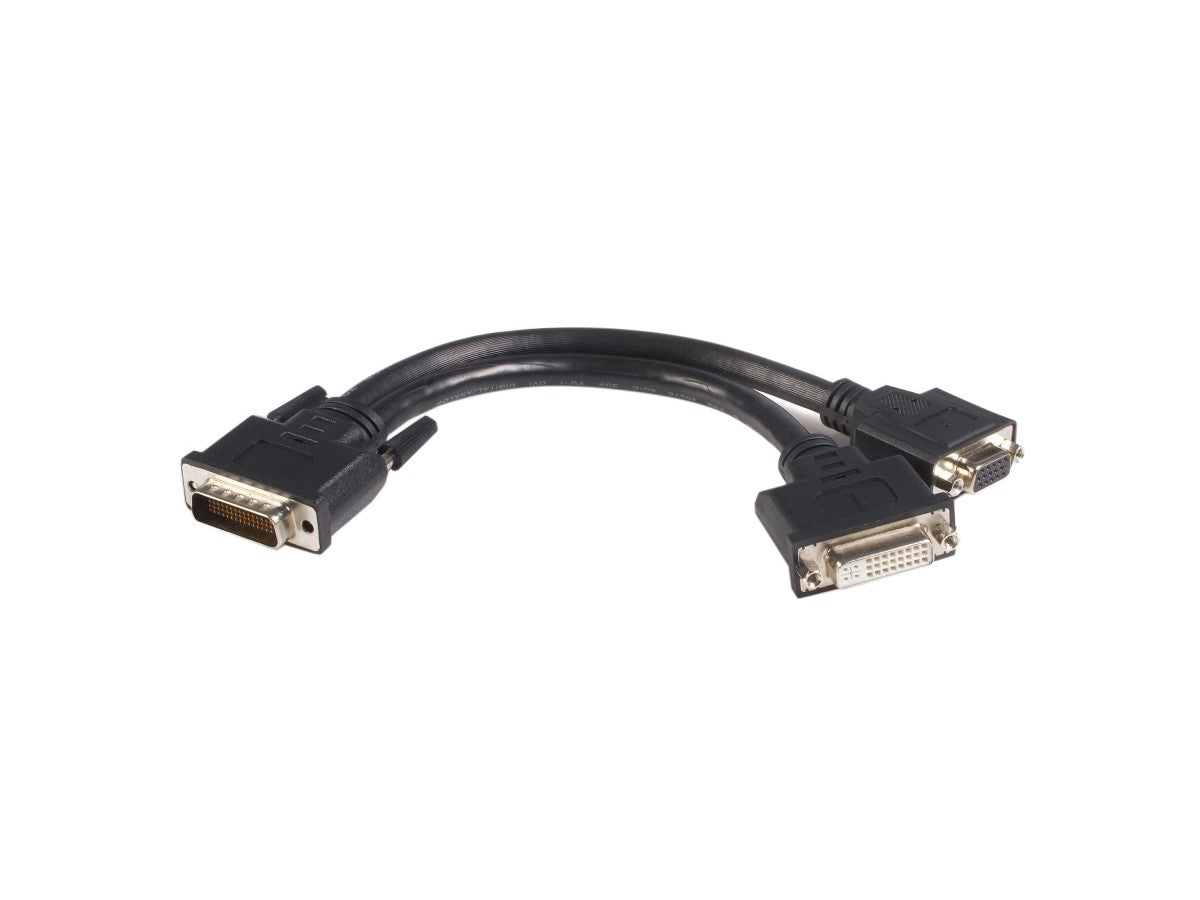 Cable de 8 pulgadas Lfh 59 a Dvi/Vga Dms 59