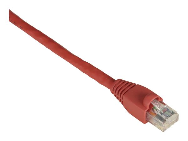 Cable de conexión de 550 MHz del canal Black Box Corp Evnsl643-0001