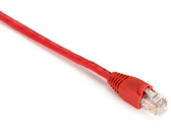 Cables de conexión Cat5E de Black Box Corp con SNA Evnsl83-0001