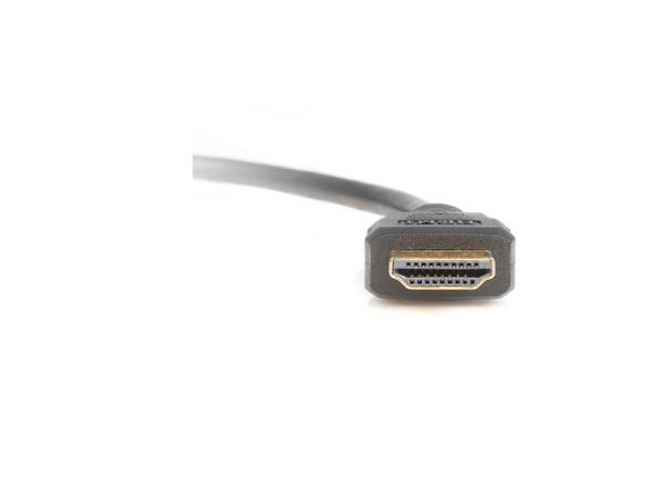 Câble répartiteur HDMI 3 m (HDMI vers 2 x DVI-D)