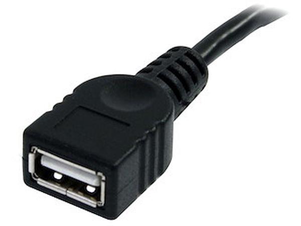 Câble d'extension USB 2.0 noir Startech.Com de 3 m (A vers A)