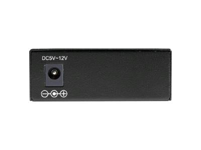 Black Box Corp Converts 10Gbase-T To 10Gbase-R.