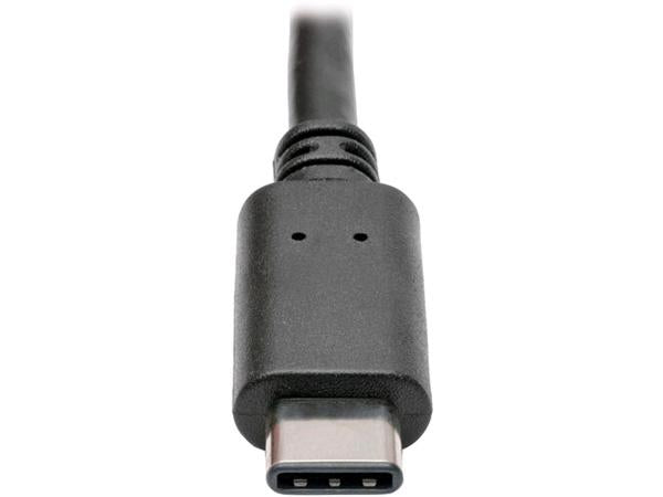 Eaton Tripp Lite Series 6 Inch Usb 3.1 Gen 1 5 Gbps Cable Usb Type