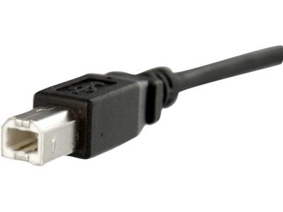 Câble USB B vers B Startech.Com de 30 cm pour montage sur panneau - F/M - Câble USB -
