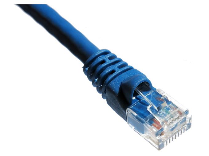Axiom 2Ft Cat6A 650Mhz Patch Cable Molded Boot (Blue)