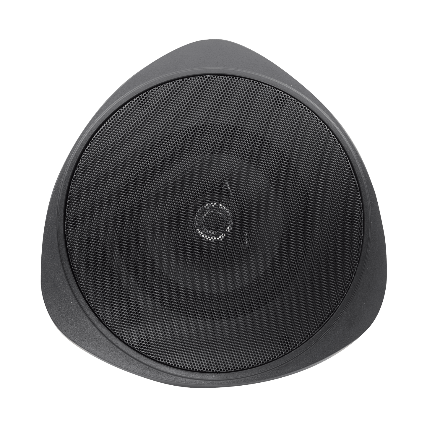 Speco 30 Watt RMS 5" Pendant Speaker with Hanging Chain - Black (SPE-SP30PTB)