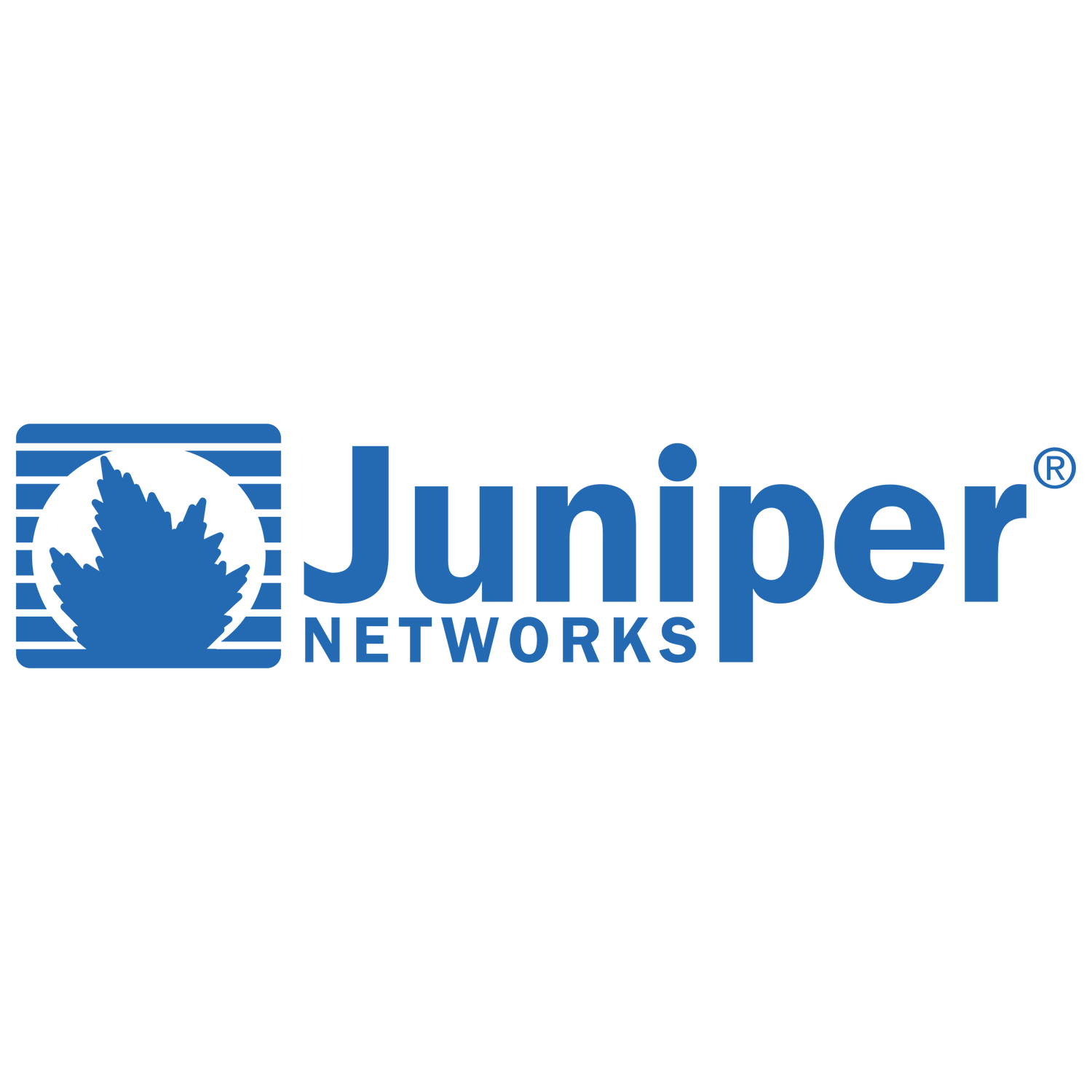 Juniper