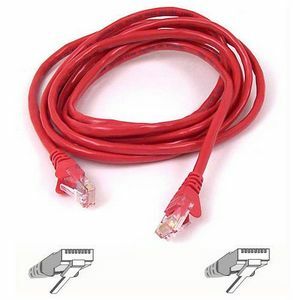 Belkin RJ45 CAT