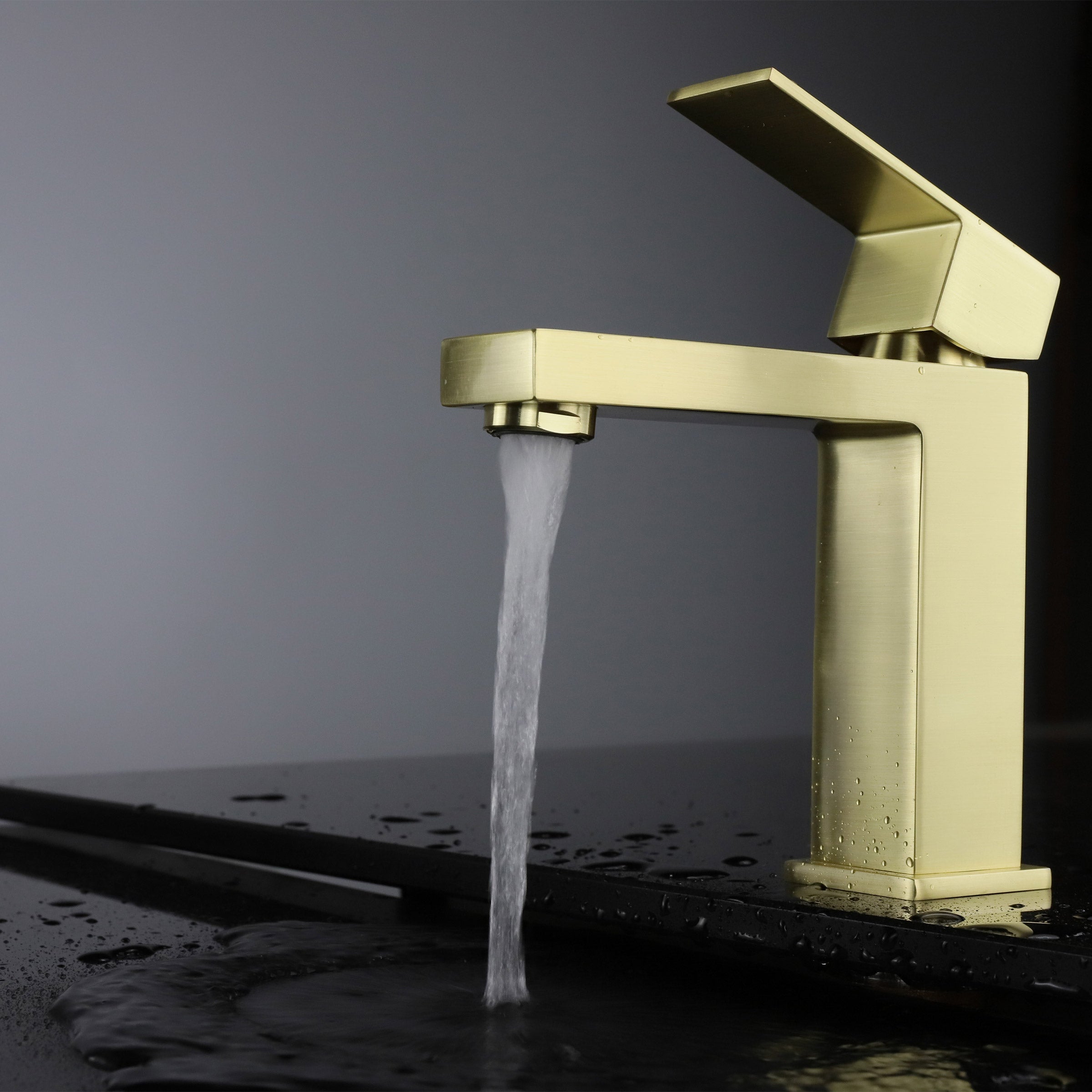 AGUA Canada Rico Single Handle Bathroom Faucet (RICO-GD)