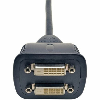Tripp Lite 1ft DVI Y Splitter Video Monitor Cable DVI-D M/2xF 1' - Male - Female - 0.3m -