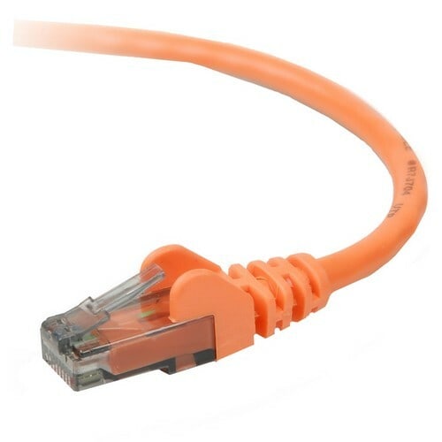 Câble de raccordement Belkin Cat.6