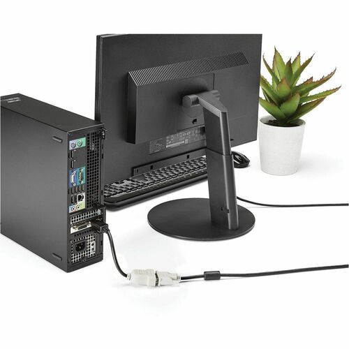 StarTech.com DisplayPort to DVI Adapter