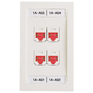 Panduit Network Faceplate  - MOQ (minimum order quantity)10 MOV (minimum order v