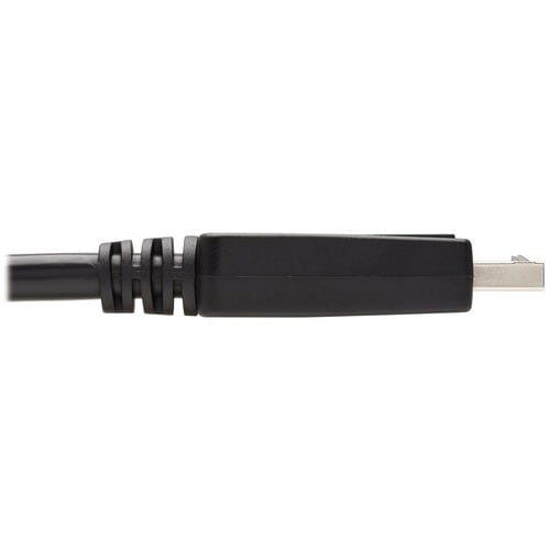 Tripp Lite series P581