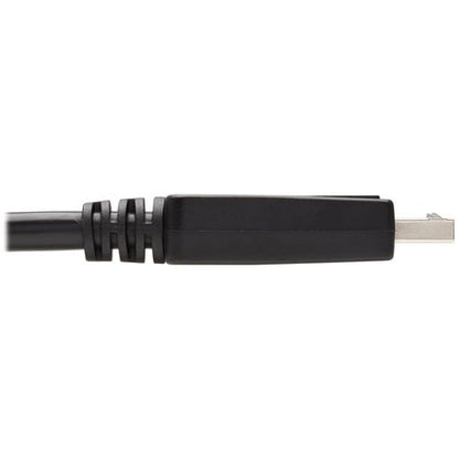 Tripp Lite series P581