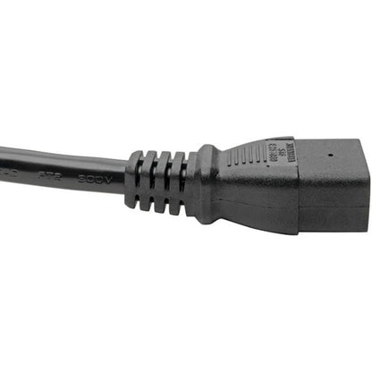 Câble d'extension d'alimentation Tripp Lite 6 pieds L6