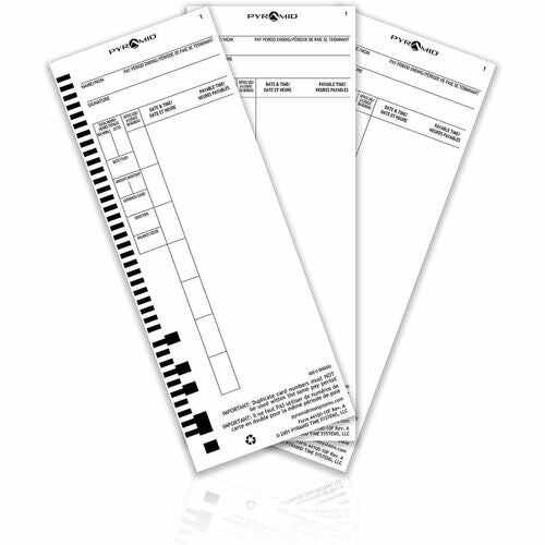 Cartes de pointage Pyramid anglais/français (paquet de 100) - 110 lb (49 895,16 g) - Recto verso S