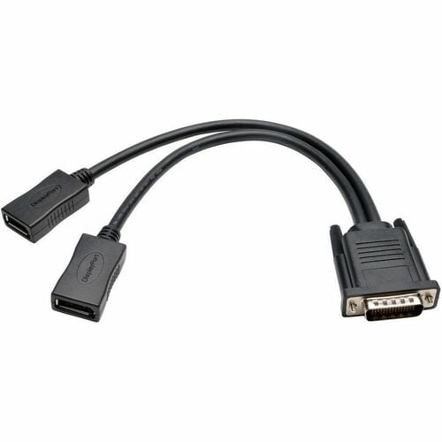 Tripp Lite by Eaton DMS-59 to Dual DisplayPort Splitter Y Cable (M to 2xF) 1-ft. - 1 ft (0