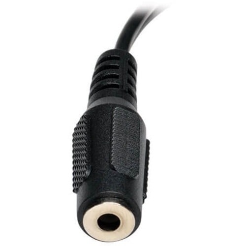 Tripp Lite Câble répartiteur audio mini stéréo vers 2 RCA en Y 6 pouces 3,5 mm 2xM/F 6\" - 6\" (152,40 m)