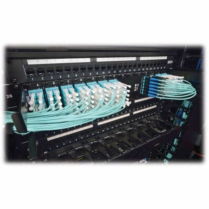Panneau de boîtier fibre optique haute densité Tripp Lite pour montage en rack 14 cassettes 2URM - 2U Hi