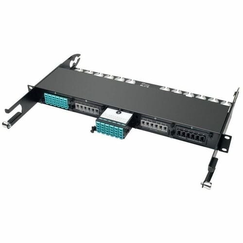 Tripp Lite 24-Fiber Patch Panel MTP/MPO to x12 LC 10Gb Breakout Cassette - 1 x M