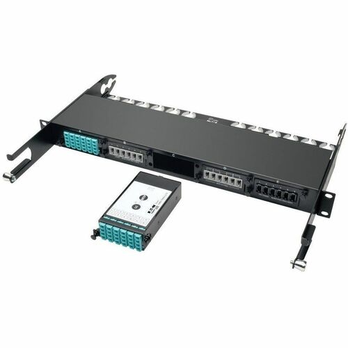 Tripp Lite 24-Fiber Patch Panel MTP/MPO to x12 LC 10Gb Breakout Cassette - 1 x M