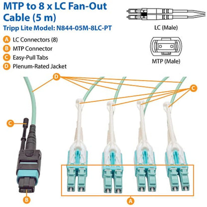 Câble de dérivation MTP/MPO Tripp Lite par Eaton 5 m (16,4 pi)