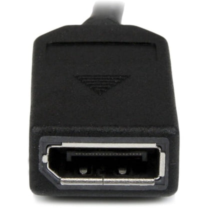 StarTech.com 8" DMS-59 to Dual DisplayPort Adapter Cable