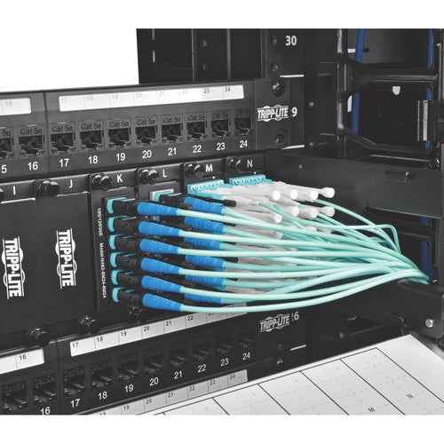 Tripp Lite by Eaton 3M MTP / MPO Patch Cable