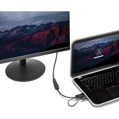 StarTech.com HDMI to DisplayPort Adapter