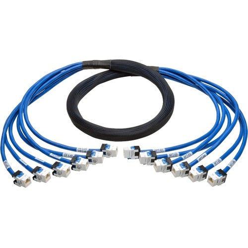 Preconector Cat6/Cat6a aumentado de Tripp Lite by Eaton