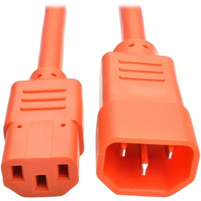 Rallonge d'alimentation Tripp Lite by Eaton P005-002-AOR - Pour ordinateur,