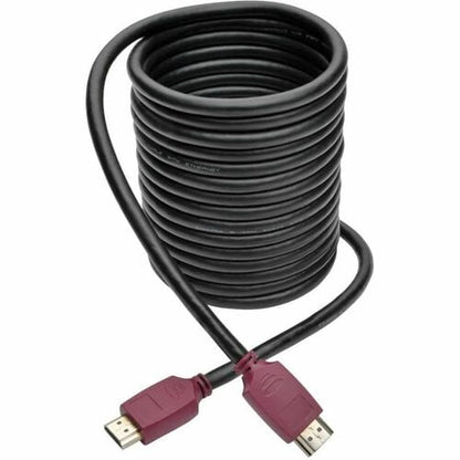 Tripp Lite par Eaton P569